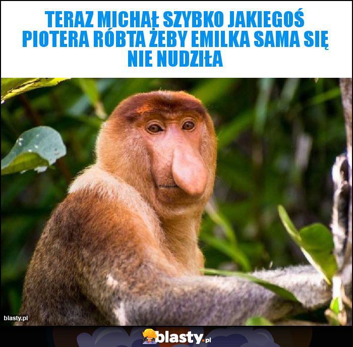 Teraz Michał szybko jakiegoś Piotera róbta żeby Emilka sama się nie nudziła Teraz Michał szybko jakiegoś Piotera róbta żeby Emilka sama się nie nudziła