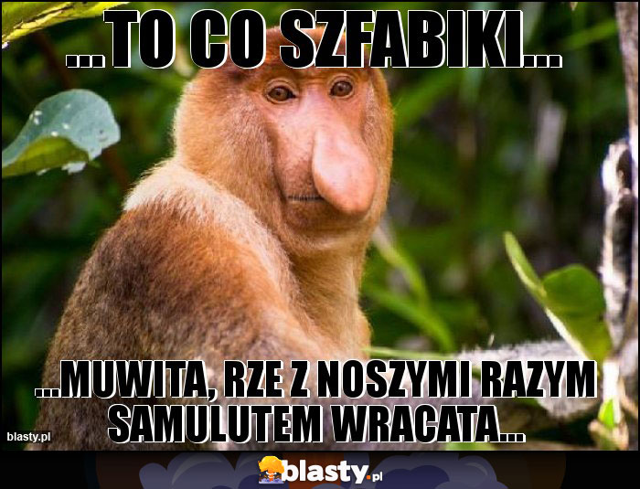 ...to co szfabiki... ...to co szfabiki...