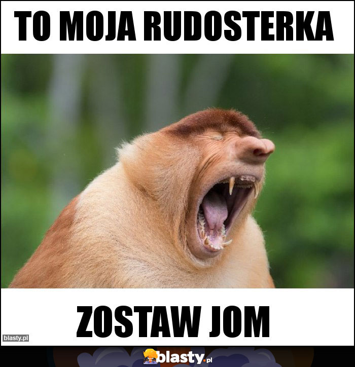 To moja rudosterka To moja rudosterka