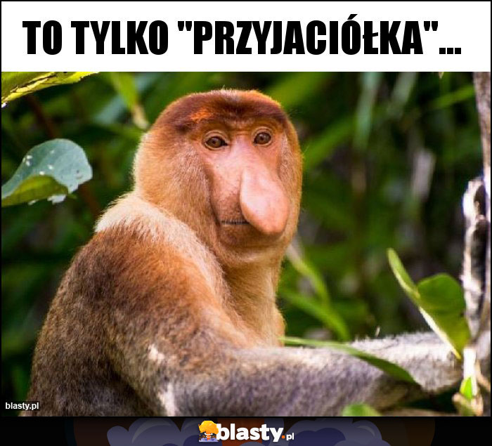 To tylko To tylko