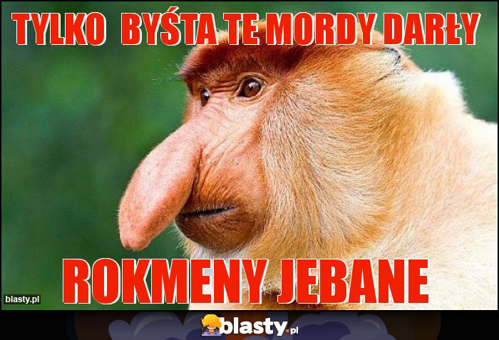 tylko byśta te mordy darły tylko byśta te mordy darły