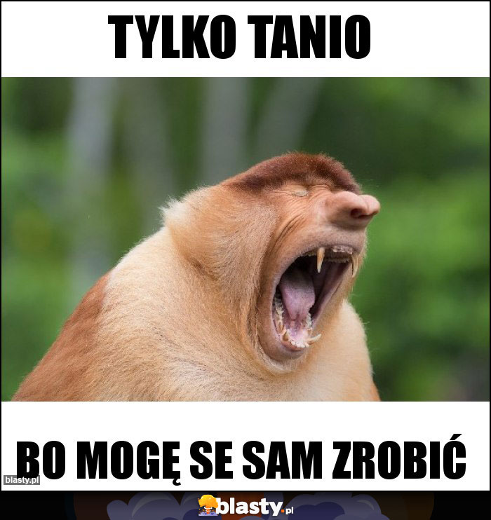Tylko tanio Tylko tanio