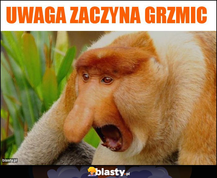 Uwaga zaczyna grzmic Uwaga zaczyna grzmic