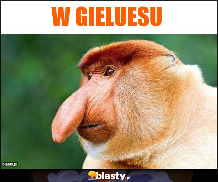 W GIELUESU W GIELUESU