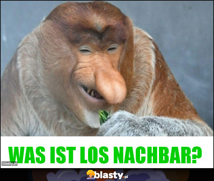 Was ist los Nachbar?