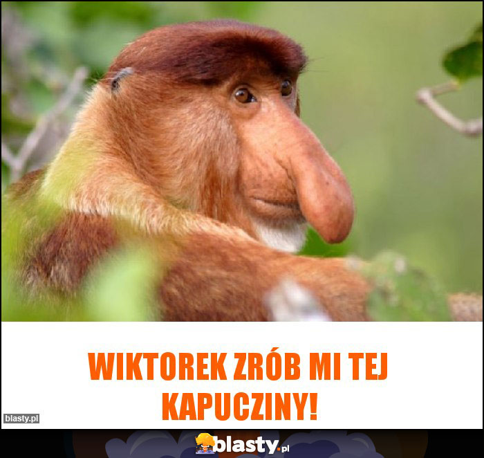 Wiktorek Zrób mi tej kapucziny! Wiktorek Zrób mi tej kapucziny!