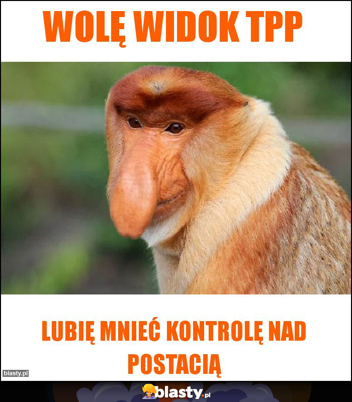 WOLĘ WIDOK TPP WOLĘ WIDOK TPP