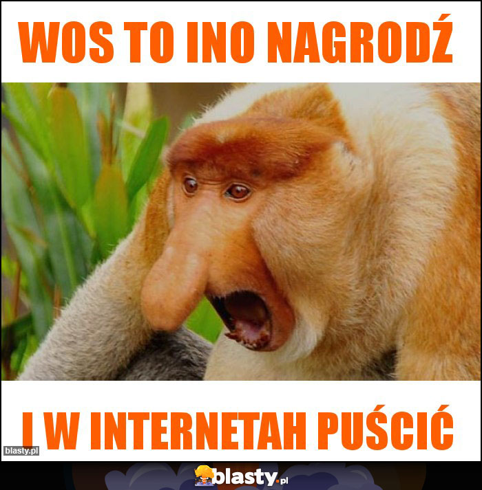 wos to ino nagrodź