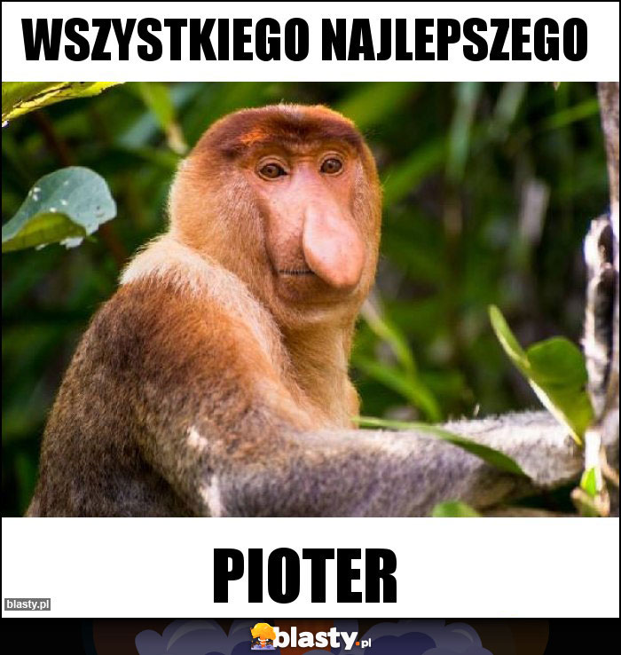 WSZYSTKIEGO NAJLEPSZEGO WSZYSTKIEGO NAJLEPSZEGO