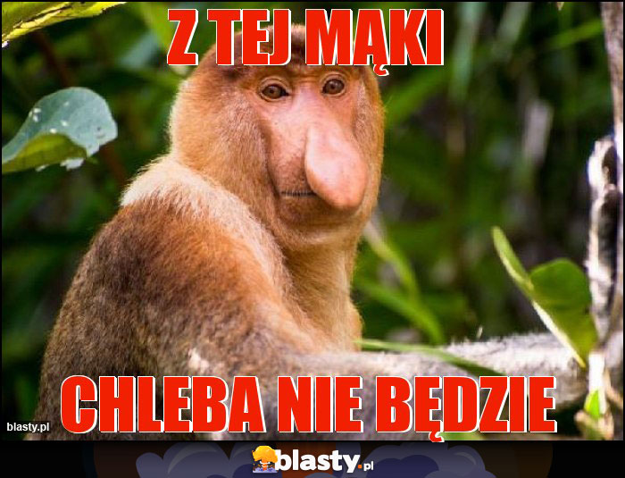 Z tej mąki Z tej mąki
