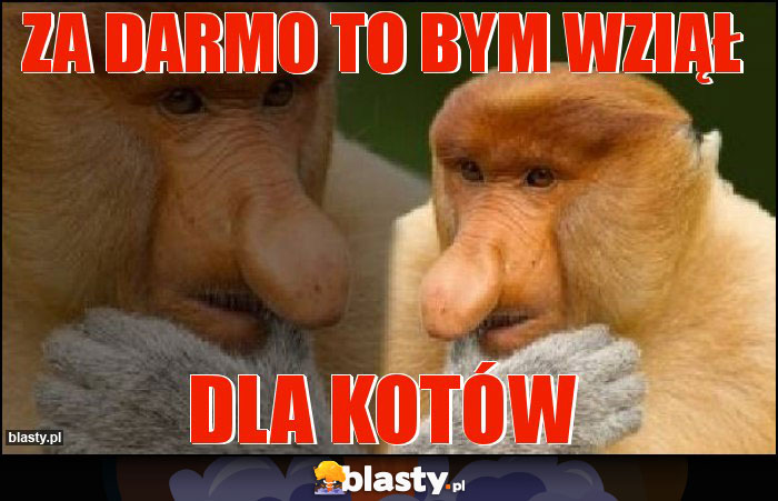 ZA DARMO TO BYM WZIĄŁ ZA DARMO TO BYM WZIĄŁ