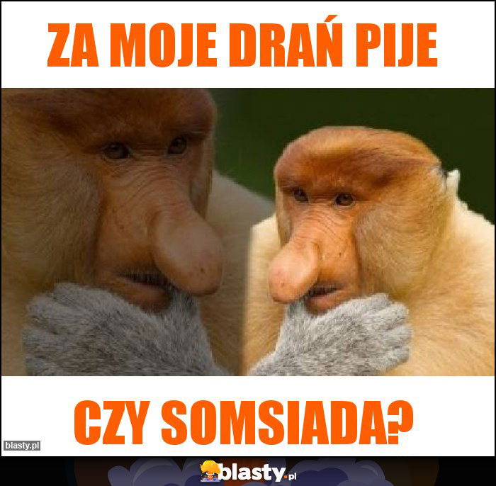 Za moje drań pije Za moje drań pije