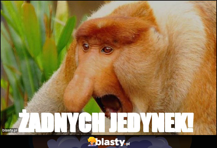 żadnych jedynek! żadnych jedynek!