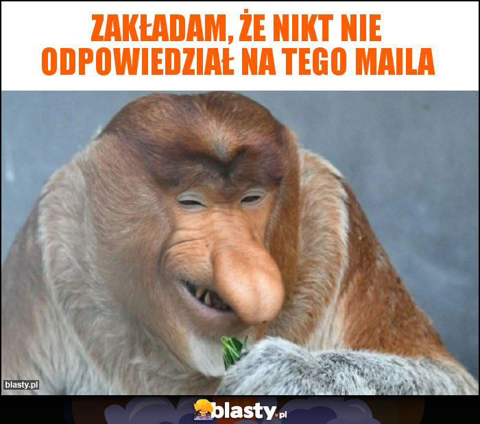 Zakładam, że nikt nie odpowiedział na tego maila Zakładam, że nikt nie odpowiedział na tego maila
