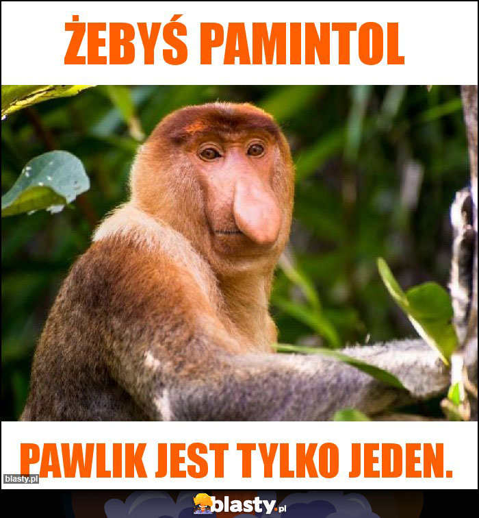 Żebyś pamintol Żebyś pamintol