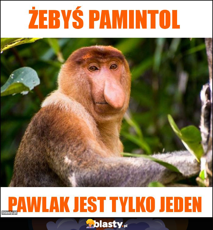 Żebyś pamintol Żebyś pamintol