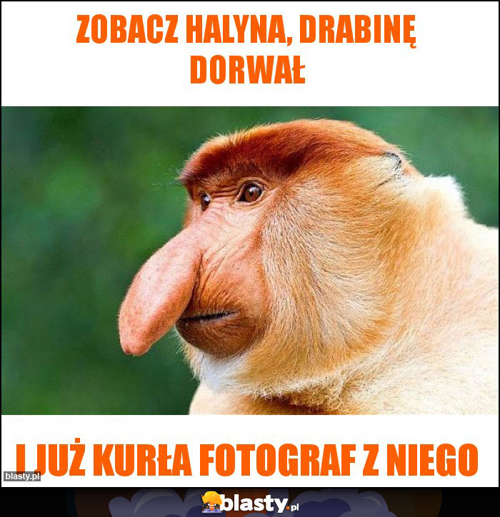 Zobacz Halyna, drabinę dorwał Zobacz Halyna, drabinę dorwał