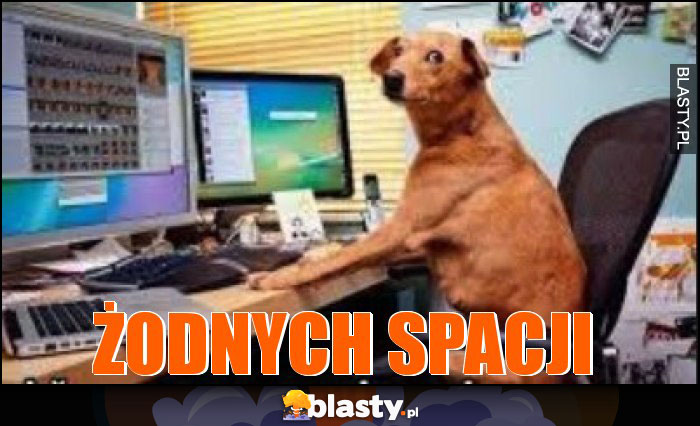 ŻODNYCH SPACJI ŻODNYCH SPACJI