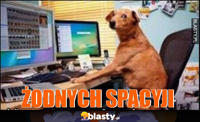 ŻODNYCH SPACYJI ŻODNYCH SPACYJI