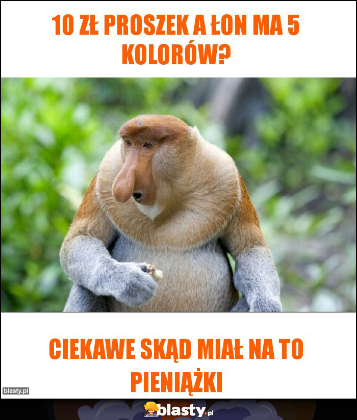 10 zł proszek a łon ma 5 kolorów? 10 zł proszek a łon ma 5 kolorów?