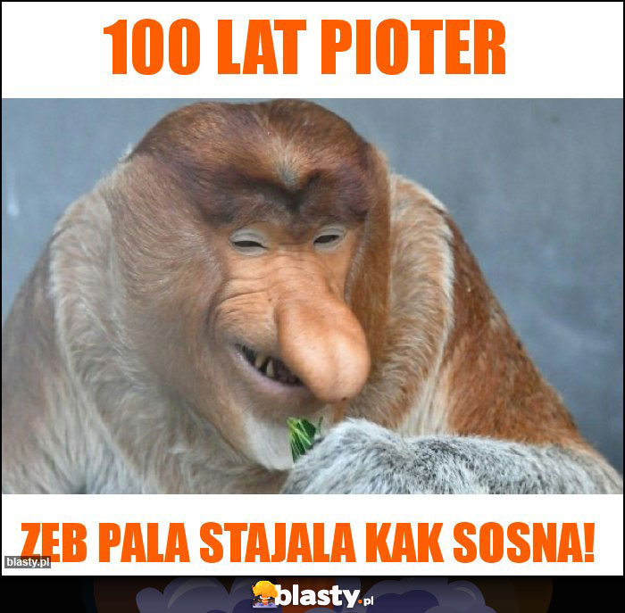 100 lat pioter 100 lat pioter