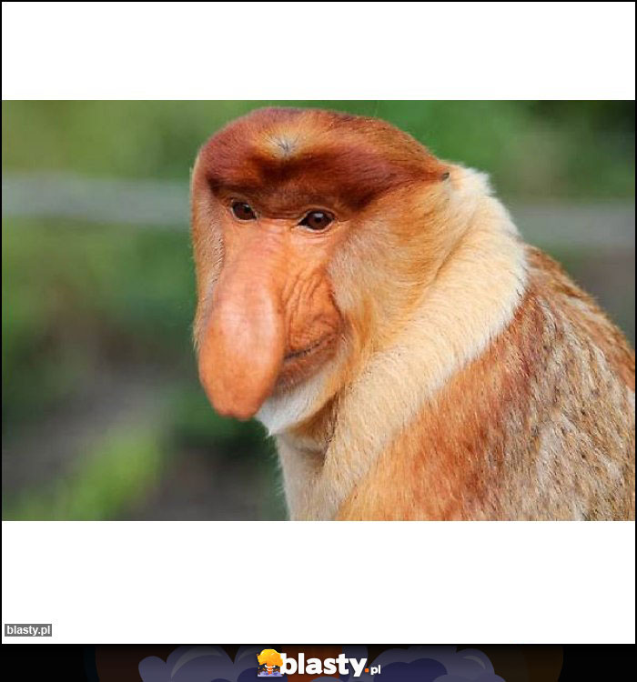 5tys na renke 5tys na renke