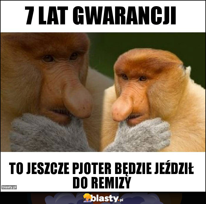 7 lat gwarancji 7 lat gwarancji