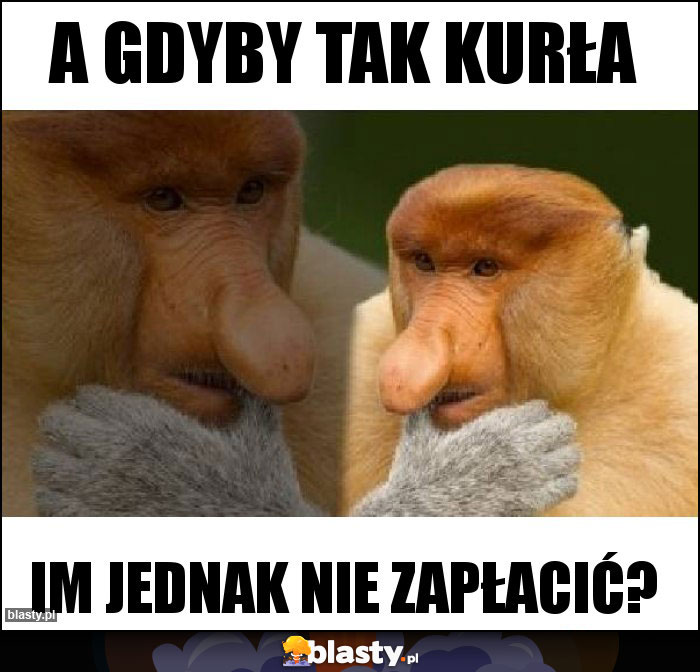 a gdyby tak kurła a gdyby tak kurła