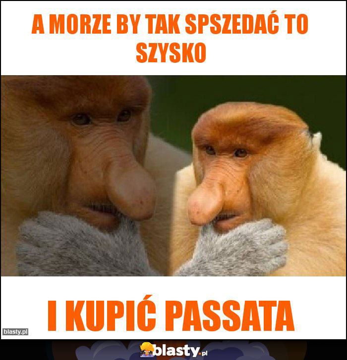a morze by tak spszedać to szysko a morze by tak spszedać to szysko