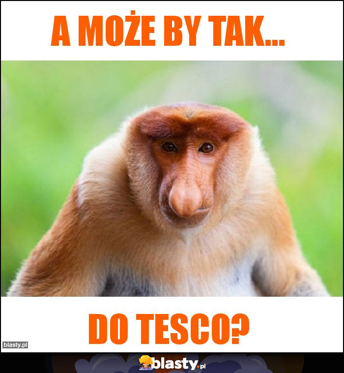 A może by tak... A może by tak...