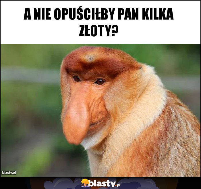 A NIE OPUŚCIŁBY PAN KILKA ZŁOTY? A NIE OPUŚCIŁBY PAN KILKA ZŁOTY?