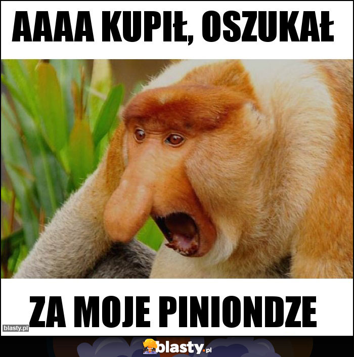 Aaaa kupił, oszukał Aaaa kupił, oszukał