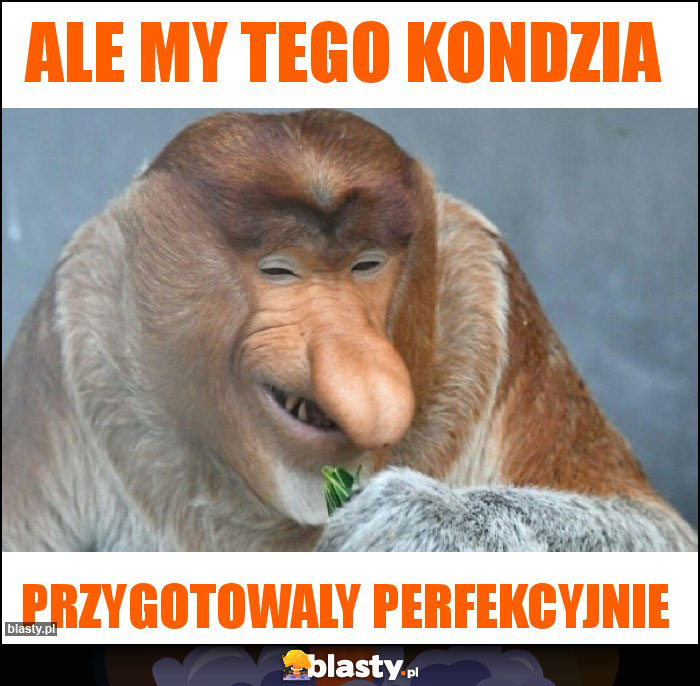 Ale my tego kondzia Ale my tego kondzia