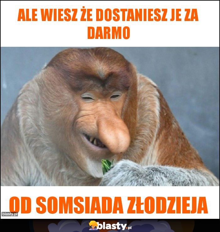 ale wiesz że dostaniesz je za darmo ale wiesz że dostaniesz je za darmo