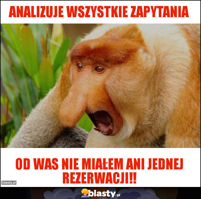 analizuje wszystkie zapytania analizuje wszystkie zapytania