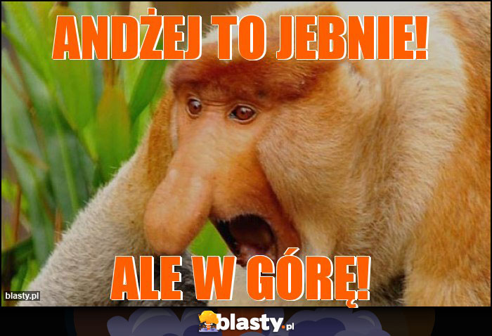 ANDŻEJ TO JEBNIE! ANDŻEJ TO JEBNIE!
