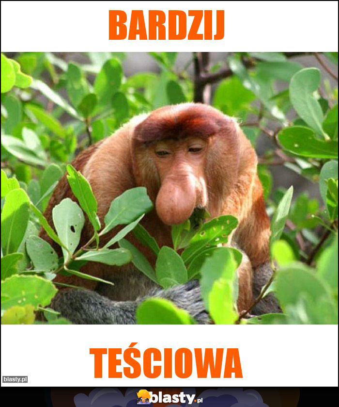 Bardzij
