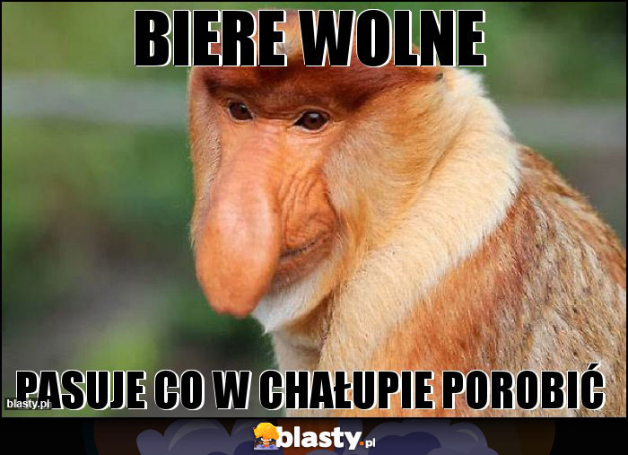 BIERE WOLNE BIERE WOLNE