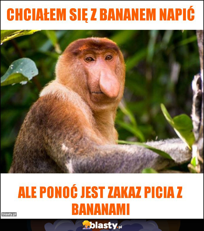 Chciałem się z Bananem napić Chciałem się z Bananem napić