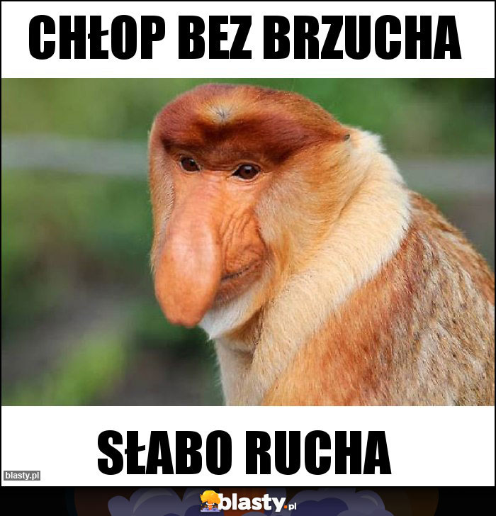 CHŁOP BEZ BRZUCHA CHŁOP BEZ BRZUCHA