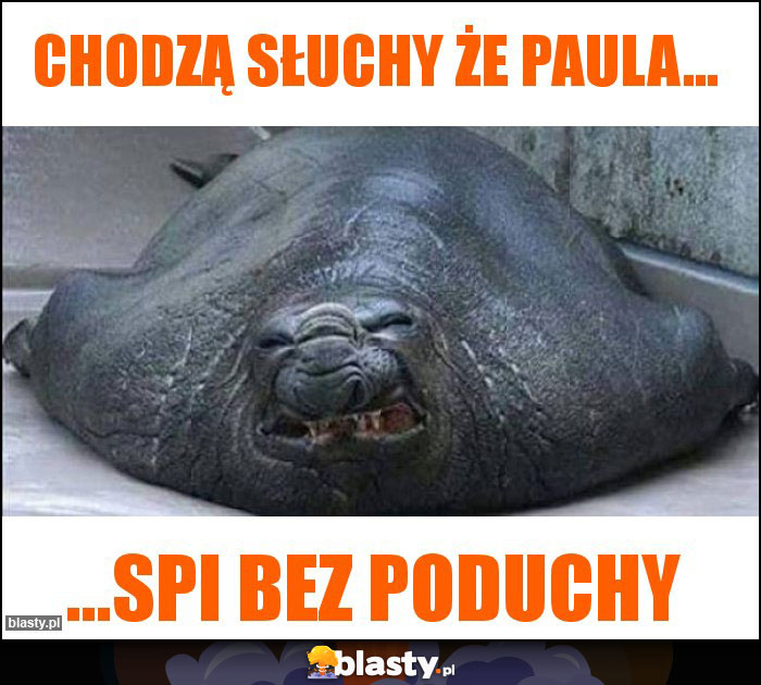 Chodzą słuchy że Paula... Chodzą słuchy że Paula...