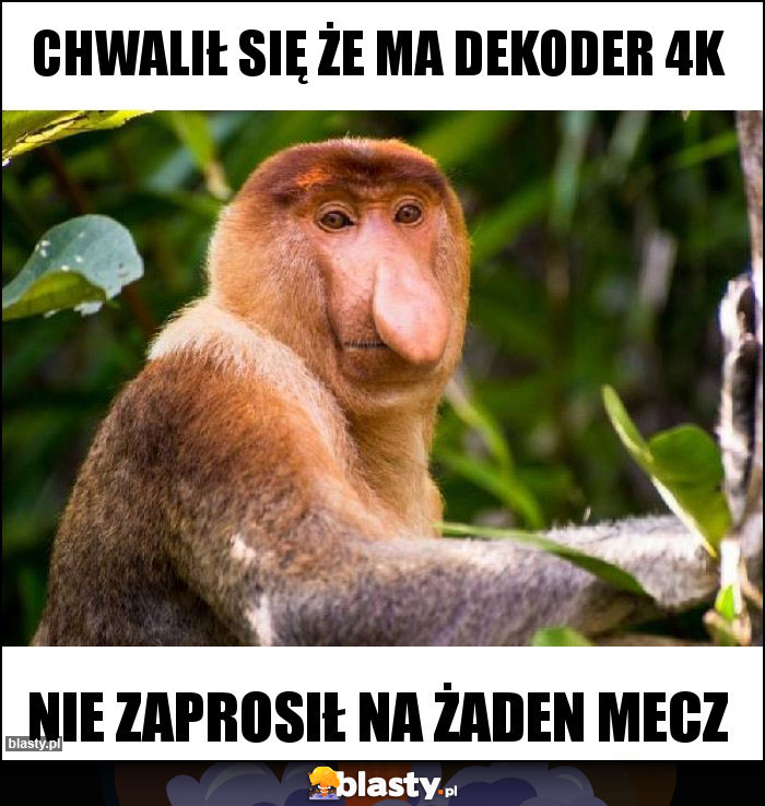 Chwalił się że ma dekoder 4k Chwalił się że ma dekoder 4k