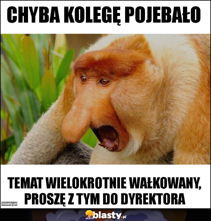 Chyba kolegę pojebało Chyba kolegę pojebało