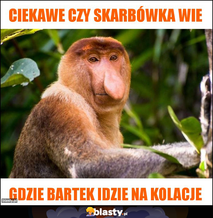 Ciekawe czy Skarbówka wie Ciekawe czy Skarbówka wie