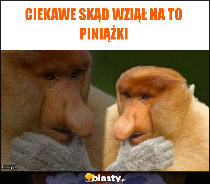 CIEKAWE SKĄD WZIĄŁ NA TO PINIĄŻKI CIEKAWE SKĄD WZIĄŁ NA TO PINIĄŻKI