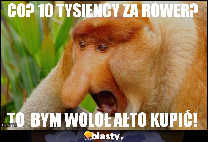 CO? 10 TYSIENCY ZA ROWER? CO? 10 TYSIENCY ZA ROWER?
