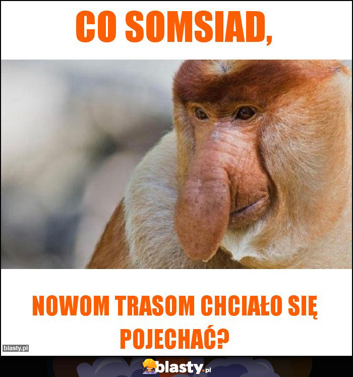 Co somsiad, Co somsiad,