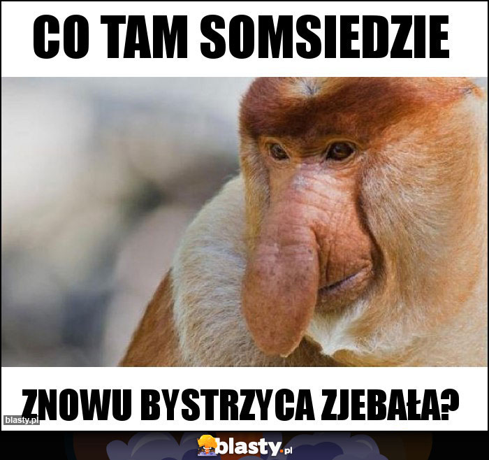 Co tam somsiedzie Co tam somsiedzie