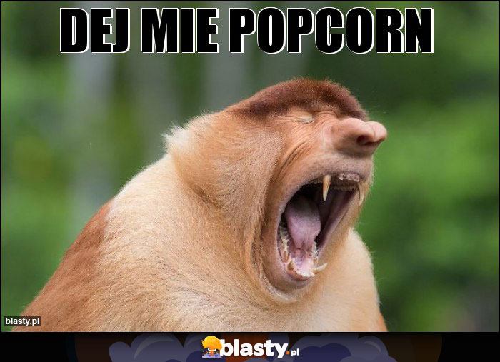 DEJ MIE POPCORN DEJ MIE POPCORN