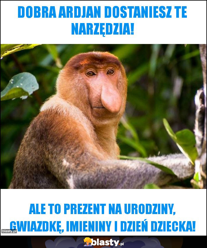 Dobra Ardjan dostaniesz te narzędzia! Dobra Ardjan dostaniesz te narzędzia!